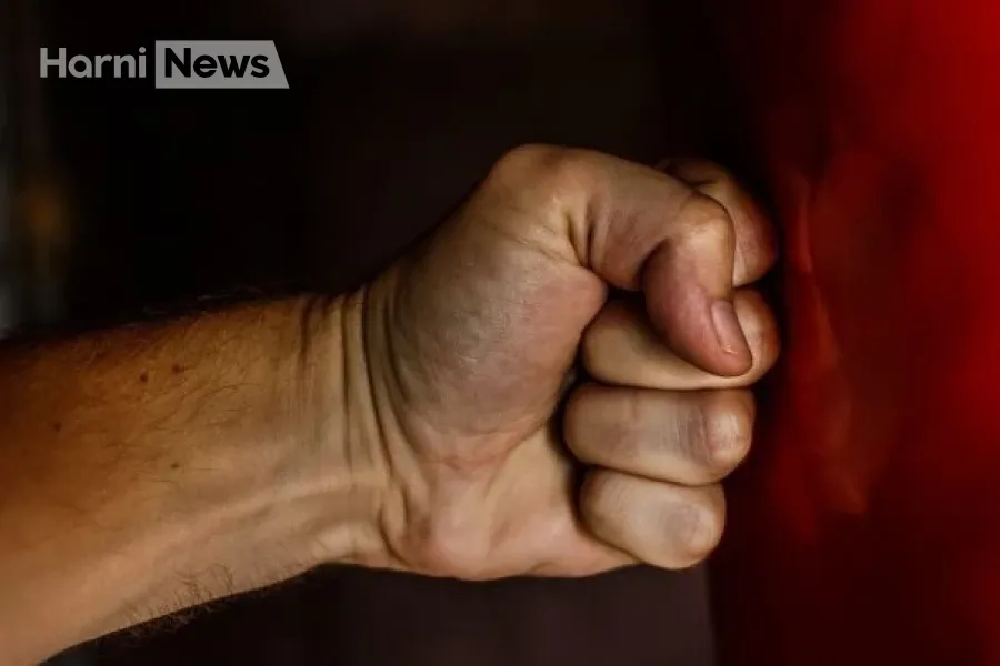 Винники: поліція відкрила кримінальні провадження через побиття сусідів – що відомо станом на зараз
