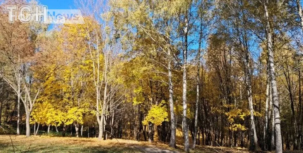 Прогноз погоди на вихідні: де 25 жовтня дощитиме, а 26-го буде тепліше і без істотних опадів