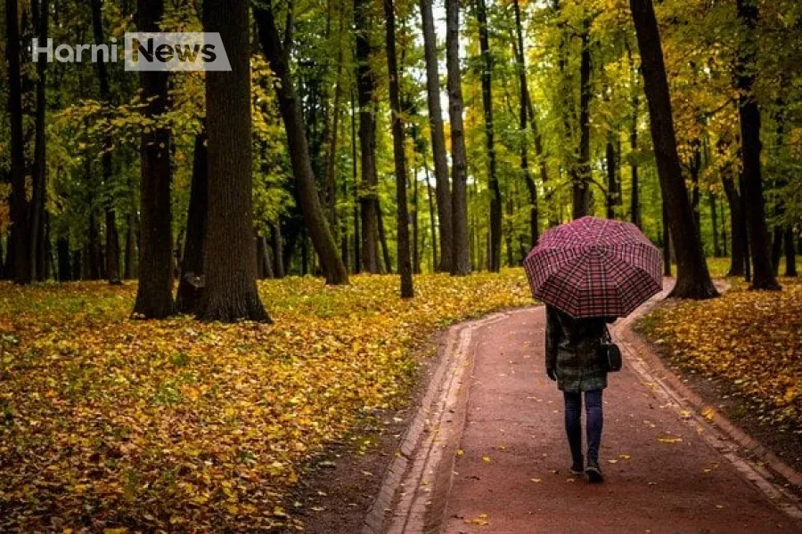 Прогноз погоди на вихідні 15-16 листопада: де очікуються дощі та чому температура не підніметься вище +15